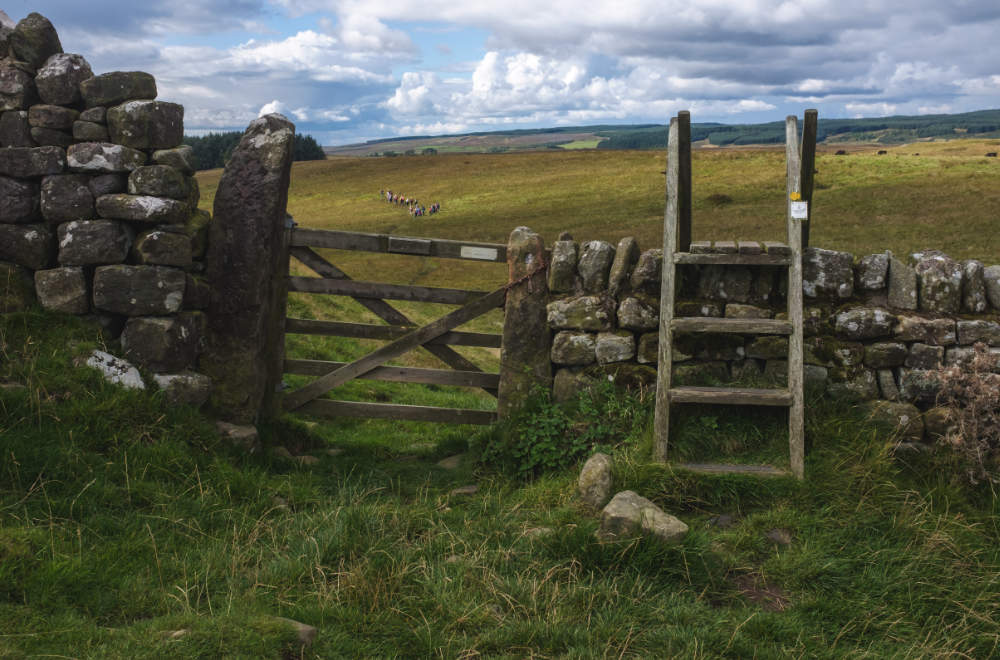 Haltwhistle walking festival preview
